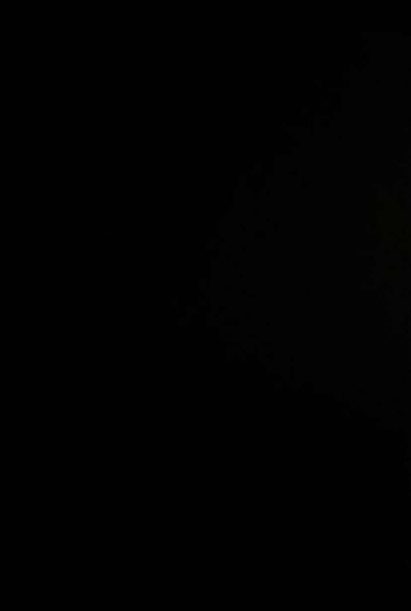 Hvid dør specialmål fabriksny